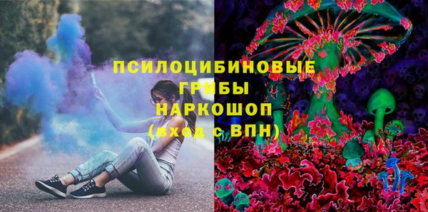 соль ск Верхний Тагил