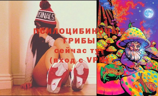 соль ск Верхний Тагил