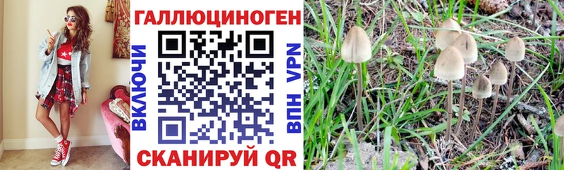 цены   Ярославль  Галлюциногенные грибы мицелий 